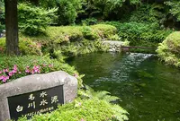 白川の写真・動画_image_159815