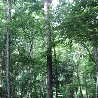 泉自然公園の写真・動画_image_1610634