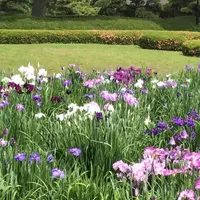 二の丸庭園の写真・動画_image_1610644
