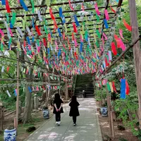 如意輪寺 （かえる寺）の写真・動画_image_1619652