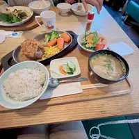 キッチン よい一日の写真・動画_image_1619659