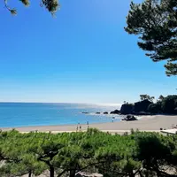 桂浜の写真・動画_image_1619831
