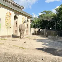 熊本市動植物園の写真・動画_image_1620502