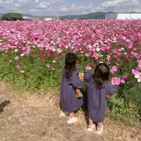 キリンビール 福岡工場の写真・動画_image_1621215