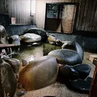 琴ひら温泉ゆめ山水の写真・動画_image_1622013