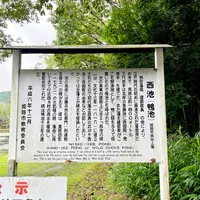 須濱神社の写真・動画_image_1636134