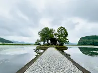 須濱神社の写真・動画_image_1636137