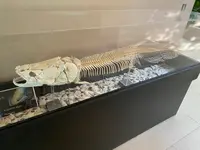 仙台うみの杜水族館の写真・動画_image_1642144