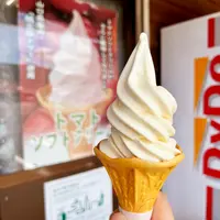 道の駅うり坊の郷ｋａｔａｍａｔａの写真・動画_image_1642164