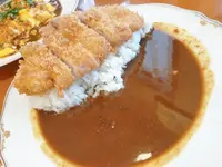 とんかつ キュリードシゲールの写真・動画_image_1650468