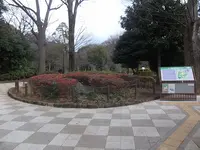 有栖川宮記念公園の写真・動画_image_166768