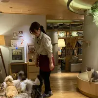 猫カフェ モカラウンジ新宿店の写真・動画_image_1669883
