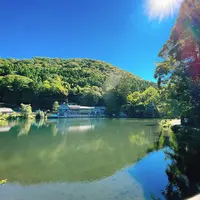 金鱗湖の写真・動画_image_1674653