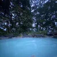 燕温泉 黄金の湯の写真・動画_image_1684774
