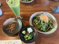 木漏れ陽の写真・動画_image_1692401