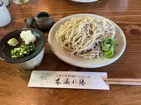 木漏れ陽の写真・動画_image_1692402