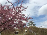 宇都宮城址公園の写真・動画_image_170107