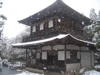 銀閣寺(東山慈照寺)の写真・動画_image_170984