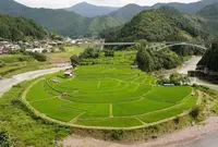 あらぎ島の写真・動画_image_171253