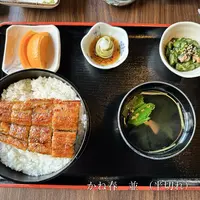 うなぎ料理 かね春の写真・動画_image_1716587