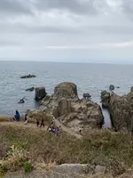 東尋坊の写真・動画_image_1725286