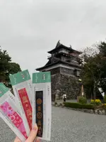 丸岡城の写真・動画_image_1725287