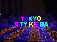 大井競馬場の写真・動画_image_1735616