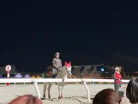 大井競馬場の写真・動画_image_1735617