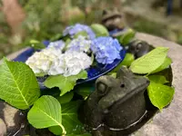 如意輪寺 （かえる寺）の写真・動画_image_1746985