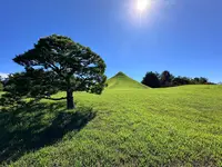 水前寺成趣園の写真・動画_image_1746988