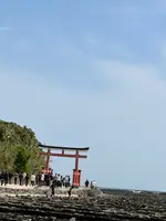 青島神社の写真・動画_image_1747003