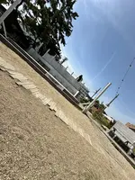 青島神社の写真・動画_image_1747007