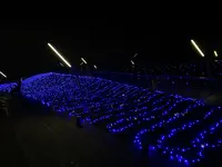 横浜港大さん橋国際客船ターミナル（大さん橋）の写真・動画_image_1759110