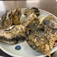 海鮮料理 磯の写真・動画_image_1765749