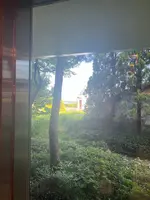 松島 一の坊の写真・動画_image_1803886