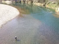 川口米の写真・動画_image_181228