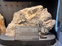 史跡佐渡金山の写真・動画_image_1813623