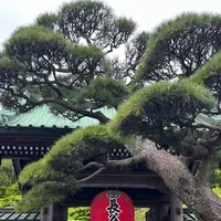 長谷寺の写真・動画_image_1818653