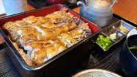 うなぎの薩摩の写真・動画_image_1819428