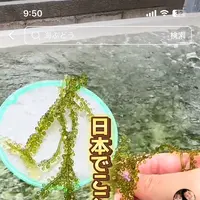 〒901-0362 沖縄県糸満市真栄里１９３１の写真・動画_image_1848711