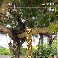 〒901-0362 沖縄県糸満市真栄里１９３１の写真・動画_image_1848712