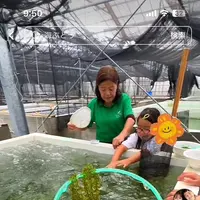 〒901-0362 沖縄県糸満市真栄里１９３１の写真・動画_image_1848713