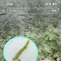 〒901-0362 沖縄県糸満市真栄里１９３１の写真・動画_image_1848714