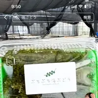〒901-0362 沖縄県糸満市真栄里１９３１の写真・動画_image_1848715