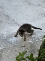 瀬長島ウミカジテラスの写真・動画_image_1849440