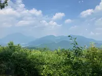 森のSobaCafe ゆふそらの写真・動画_image_1864007