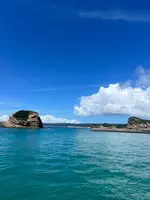 種子島の写真・動画_image_1879796