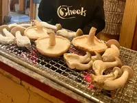 きのこの舘の写真・動画_image_1882555