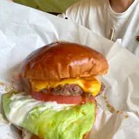 GREEN ROOMの写真・動画_image_1882692