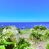 夢崎明神の写真・動画_image_1885492